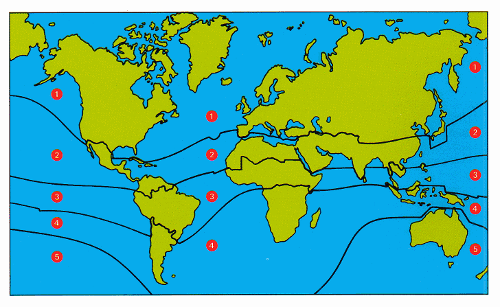 Global compass needle sale